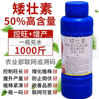 Yiershuangfeng 50% chlormequat, cotton, wheat and corn dwarf growth regulator to prevent crazy growth and lodging, increase yield and control growth, 500g (full box of 20 bottles)