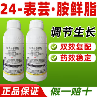 Zhaoyao 24-epirutamine fresh ester, special growth regulator for chinese cabbage, special growth regulator for chinese cabbage, genuine 500ml*20 bottles, save 38 yuan on the whole box purchase