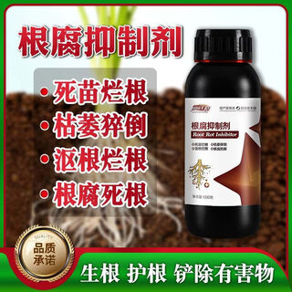 Tianyuan fengqing root rot agent dampens off rotten roots and rots, stiff seedlings quickly strengthen roots, purifies soil and resists disease, 12 bottles of root rot agent in a box