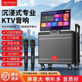 Xianfei square dance audio with display trolley speaker portable all-in-one touch wifi network karaoke machine bluetooth dual microphone 17-inch screen + 18 speakers + rising and falling tone + dual microphones + 64gu disk + bracket