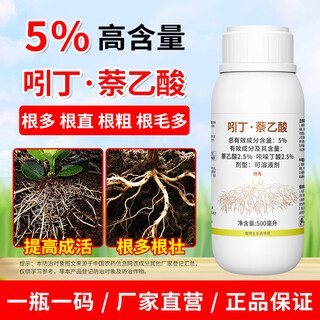 Aowei indobutane acetic acid rooting and strengthening seedlings to improve survival cuttings and transplanting flowers and vegetables aowei agricultural growth regulator 500ml*4 bottles