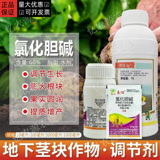 Choline chloride 60% garlic, ginger, onion, sweet potato, peanut, potato, ginseng medicinal material, ginger underground rhizome enlarging agent 10ml