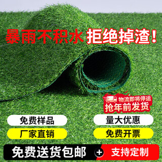Renowned in jiuzhou, simulated lawn carpet, fake turf bedding, plastic outdoor artificial court, artificial fence, kindergarten floor mat, 2 meters wide * 2 meters long, 2.0 grass height