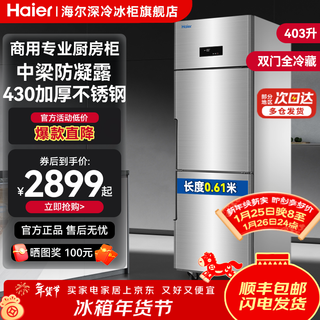 海尔（Haier）冰柜商用四门六门冰箱厨房柜立式酒店冷冻柜后厨速冻柜不锈钢冷藏柜肉类生鲜保鲜柜 【海星标准款】430加强不锈钢板 双门全冷藏