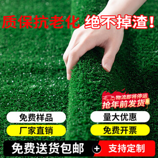 Famous jiuzhou fake lawn simulated artificial turf plastic green carpet rooftop balcony roof sun room villa courtyard 1 meter wide * 5 meters long 1.5cm grass height