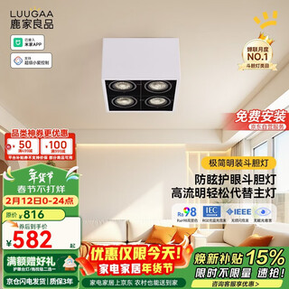 Lujia liangpin (luugaa) right-angle bold light surface-mounted spotlight anti-glare full-spectrum eye protection smart grille light without main lighting package installation