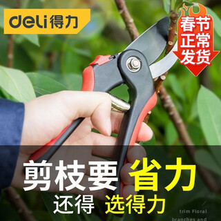 Deli labor-saving fruit tree scissors pruning pruning shears gardening scissors thick branches flower garden tools pruning branch scissors 8-inch pruning shears dl580221