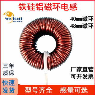 Iron silicon aluminum magnetic ring inductor 50u1m5m energy storage pfc inductor coil inverter filter inductor can be customized 48mm iron silicon powder core-150u30a