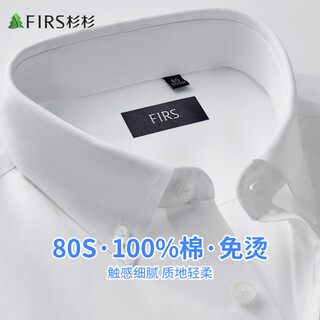 Shanshan (firs) 80-count pure cotton 2026 spring new business casual no-iron easy-care long-sleeved shirt for men