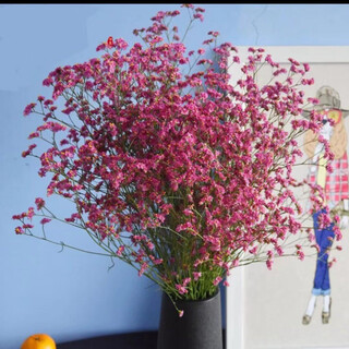 Natural real flower dried flower red crystal flower dried dried flower bouquet yunnan straight base straight hair dried dried flower red crystal 2 bouquets