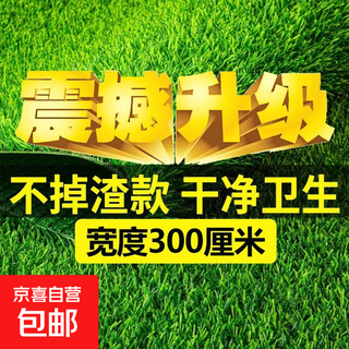Simulated lawn carpet greenhouse glass roof special artificial green outdoor artificial decorative floor mat fake turf (3 meters wide * 5 meters long)_20mm encrypted thickened spring grass
