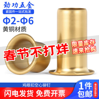 Jinggong copper eyelet button eyelet rivet hollow copper rivet through hole rivet air eye button rivet button hollow rivet 234 2*2 500 pcs