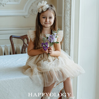 Happyology british children's embroidered mesh children's clothing small flying sleeve girls' dress spring and summer mesh skirt