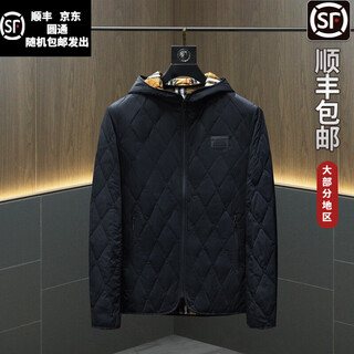 B prorsum burberry 2026 autumn and winter men's hooded diamond cotton jacket qt3099p210 black 4xl