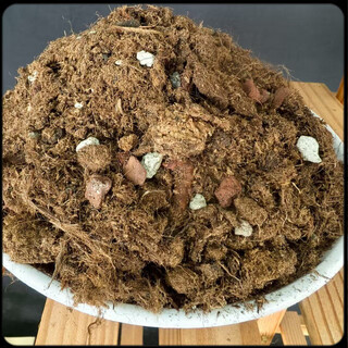 Nutrient soil planting live soil formula type peat soil universal nutritious soil gardening nutritious soil flower planting soil 2.0 light stone version one bag (5.5 jin jin is equal to 0.5 kg 11.5 liters)