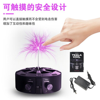 Dual mode music tesla coil music box artificial lightning touchable audio bluetooth scientific experiment electric coil ac220-110v_with bluetooth (european regulation)
