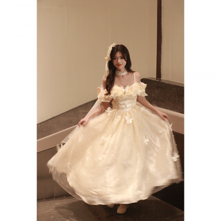 Feihao dress, high-end light luxury, niche evening dress, niche style, celebrity, one shoulder, champagne color xs