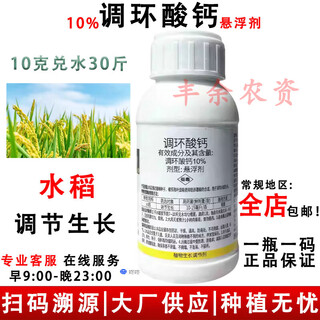 10% prohexadione calcium rice growth controlling pesticide plant growth regulator controlling growth and anti-lodging 10ml*10 bags