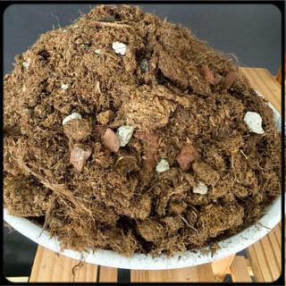 Flower soil, living soil, formula type peat soil, universal nutrient soil, gardening nutrition soil, flower seeds, vegetable soil acid, 2.0 light stone plate, one bag (5.5 jin jin is equal to 0.5 kg 11.5 liters)