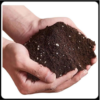 Universal flower soil nutrient soil 40 jin jin equals 0.5 kg large package flower and green plant planting household soil potted green plants organic soil growing vegetables 40 jin jin equals 0.5 kg nutrient soil insect-killed