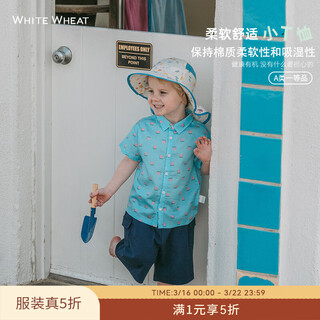 White wheat children's summer clothes 2024 new shirts for men and women baby casual pure cotton style short-sleeved floral shirt blue 80 80cm