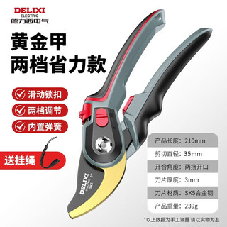 Delixi electric branch pruning shears, pruning shears, fruit tree pruning scissors, fruit tree flower art grafting special scissors, gold armor, finely ground sk5 steel + free lanyard