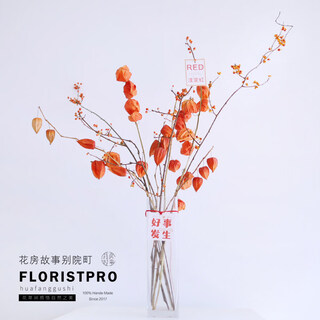 Sour berry snake vine red fruit light luxury bouquet home flower arrangement indoor ornamental decorative lines natural dried flowers imported snake vine sour berry vase flowers