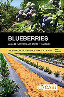 现货 Blueberries 蓝莓种植