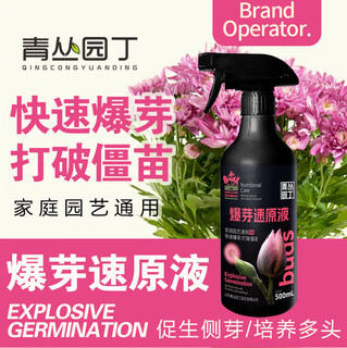 Qingcong gardener's rapid bud bursting stock solution multi-bud promotion, germination, differentiation, leaf flower arrangement, succulent green plants, universal type bursting bud rapid stock solution 500ml*1 bottle conventional