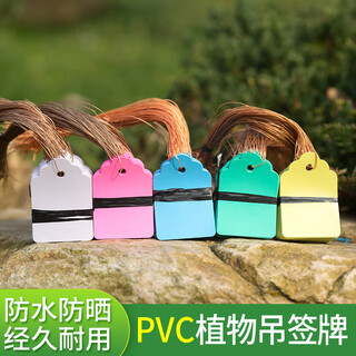 Shipton plastic experimental small tag green plant flower tag waterproof tag gardening seedling tag orchid plant tag 4*6 white 100 sheets