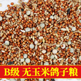 Pigeon food 20 jin jin is equal to 0.5 kg corn-free pigeon food 10 kg nutritional pea bird food homing pigeons for adult and young pigeons 5 jin jin is equal to 0.5 kg b-grade corn-free pigeon food 10 jin jin is equal to 0.5 kg