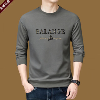 Armani (armani) high-end men's sweatshirt 2025 new spring and autumn round neck long-sleeved t-shirt autumn top medium gray one size 170l