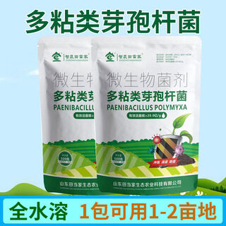 Dangxiu paenibacillus polymyxa controls soil-borne diseases, universal plant seedlings and rooting improvement live bacteria, paenibacillus polymyxa 500g*2