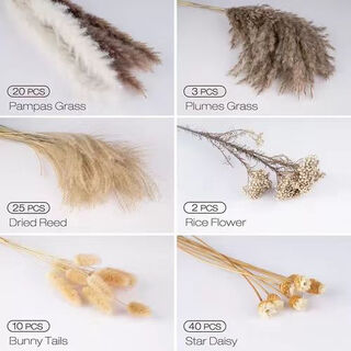 Original idea (chugouxiang) yunnan real flower pampas grass whisk dust rabbit tail dried bouquet pampas grass hs85 with box