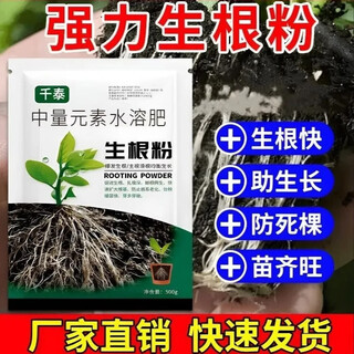 Rapid rooting powder, universal plant transplanting and cuttings, powerful rooting agent for fruit trees, nutrient solution 809, 6 bags, green leaves + strong roots + flower promotion + top tips