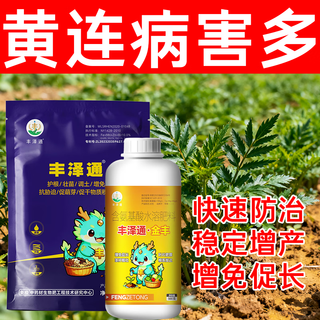 Fengzetong + jinfeng water-soluble fertilizer coptis chinensis improves quality, increases yield, resists diseases, enlarges bulbs, roots and strengthens seedlings. manufacturer's genuine product. buy 10 sets and get 2 sets free. send 12 sets.