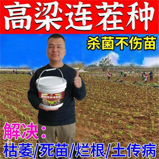 Cat sorghum field anti-heavy cropping soil-borne disease agent is sprayed directly to condition the soil to resist heavy stubble and solve root rot. sorghum soil agent_sorghum field anti-heavy cropping 10 barrels