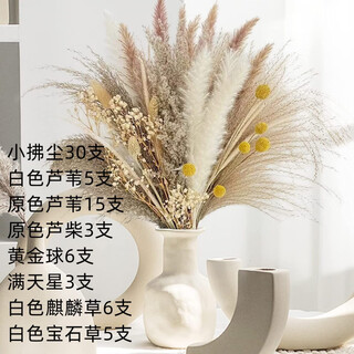 Original idea (chugouxiang) yunnan real flower pampas grass whisk dust rabbit tail dried bouquet pampas grass hs81 with box