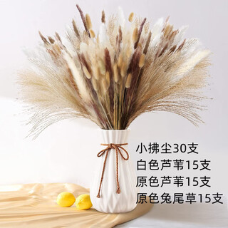 Original idea (chugouxiang) yunnan real flower pampas grass whisk dust rabbit tail dried bouquet pampas grass hs79 with box