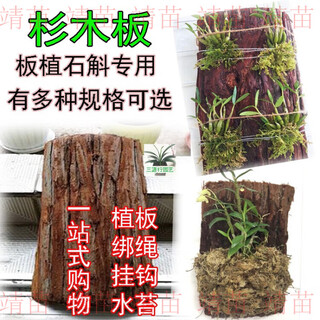 Dendrobium hanging plantation, fir bark board, fir board, fir board instead of snake board, special planting for dendrobium, fir board 25x6.5-8cm, 6 boards, holes punched at both ends with wire hooks