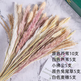 Original idea (chugouxiang) yunnan real flower pampas grass whisk dust rabbit tail dried bouquet pampas grass hs10 with box