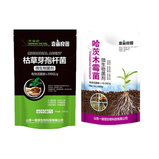 Bacillus subtilis, trichoderma harzianum, root rot, soil disease, root swelling, root rot, dead seedlings, foliage water-soluble fertilizer, 20 billion subtilis + trichoderma harzianum