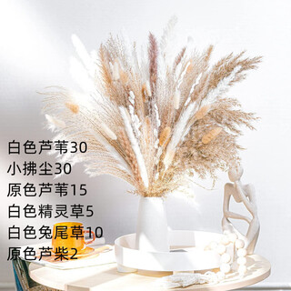 Original idea (chugouxiang) yunnan real flower pampas grass whisk dust rabbit tail dried bouquet pampas grass hs25 with box