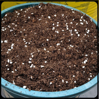 General nutrient soil han jie's own granular soil, succulent granular soil, flower and green plant nutrient soil, customized 12 liters of universal nutrient soil for flowers and green plants (common model for growing flowers and vegetables)