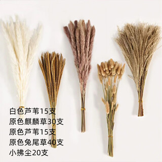 Original idea (chugouxiang) yunnan real flower pampas grass whisk dust rabbit tail dried bouquet pampas grass hs69 with box