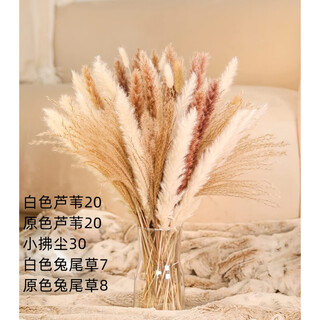Original idea (chugouxiang) yunnan real flower pampas grass whisk dust rabbit tail dried bouquet pampas grass hs13 with box
