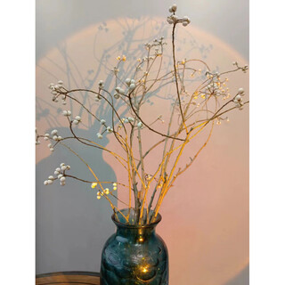 Jatu dace dried flowers, dried branches, small white fruits, chinese tallow fruit bouquet, flower arrangement, pine tree decorative branches, plants, christmas trees, nordic style bouquet, newly harvested 5 small white fruits (70-80cm), dried flower package