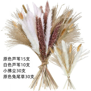 Original idea (chugouxiang) yunnan real flower pampas grass whisk dust rabbit tail dried bouquet pampas grass hs57 with box