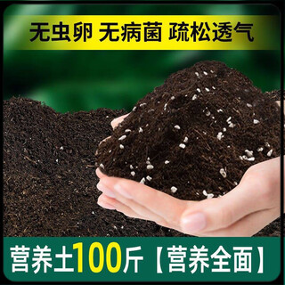 Universal nutrient soil 100 jin jin is equal to 0.5 kg nutrient soil special potted plant for growing flowers and vegetables universal loose and breathable soil family refined 100 jin jin is equal to 0.5 kg (special for flower cultivation) jiangsu, zhejiang, shanghai, anhui and guangdong regions chi jin shot ming fa