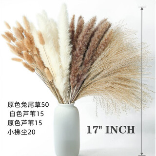 Original idea (chugouxiang) yunnan real flower pampas grass whisk dust rabbit tail dried bouquet pampas grass hs26 with box